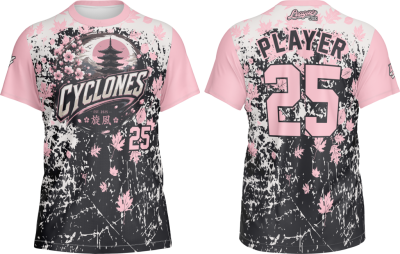Cyclones