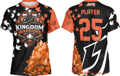 Kingdom warriors